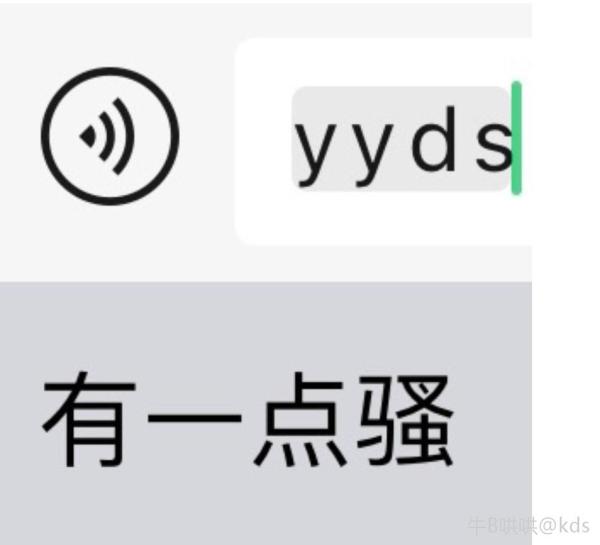 现在很多英文网络用语什么意思yyds