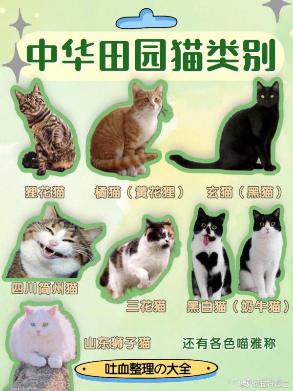 中华田园猫品种大全!