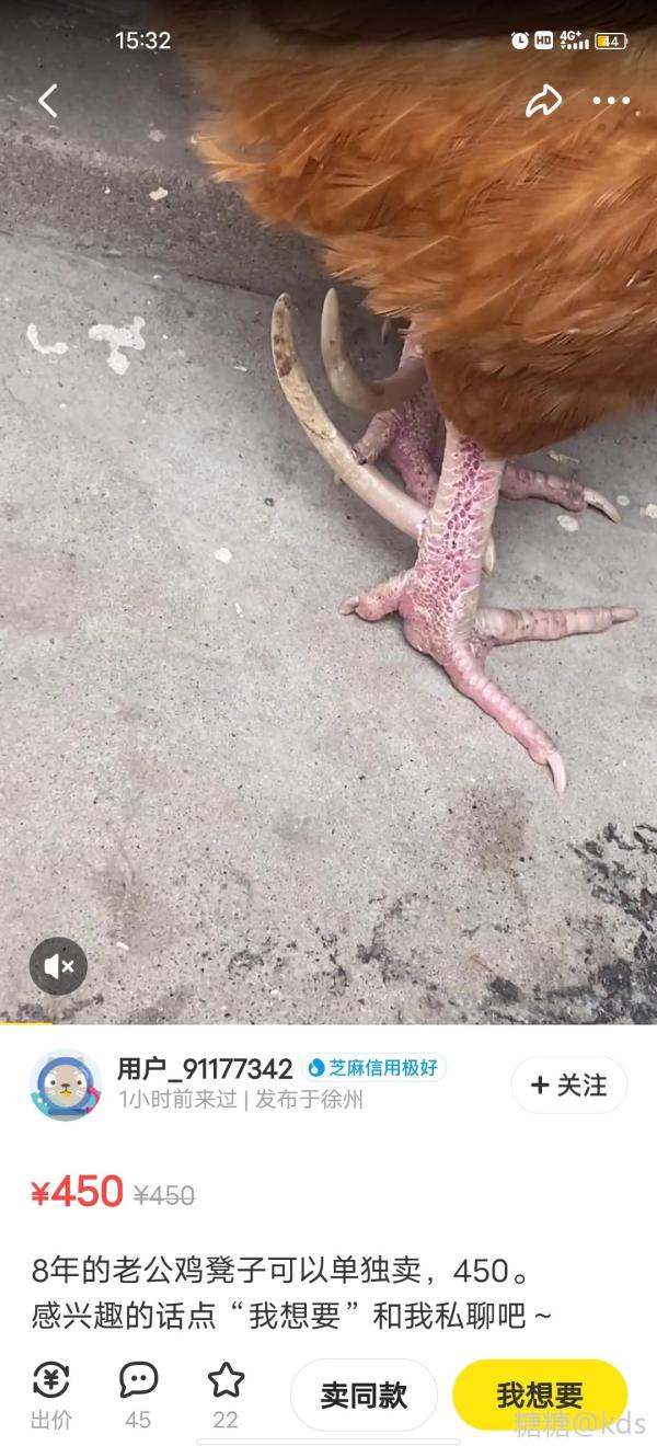 还有人盘公鸡爪子啊我册那