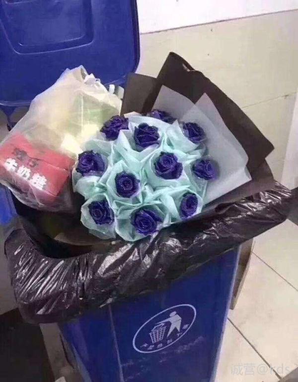 214垃圾桶里的玫瑰-宽带山kds-宽带山社区-城市消费门户