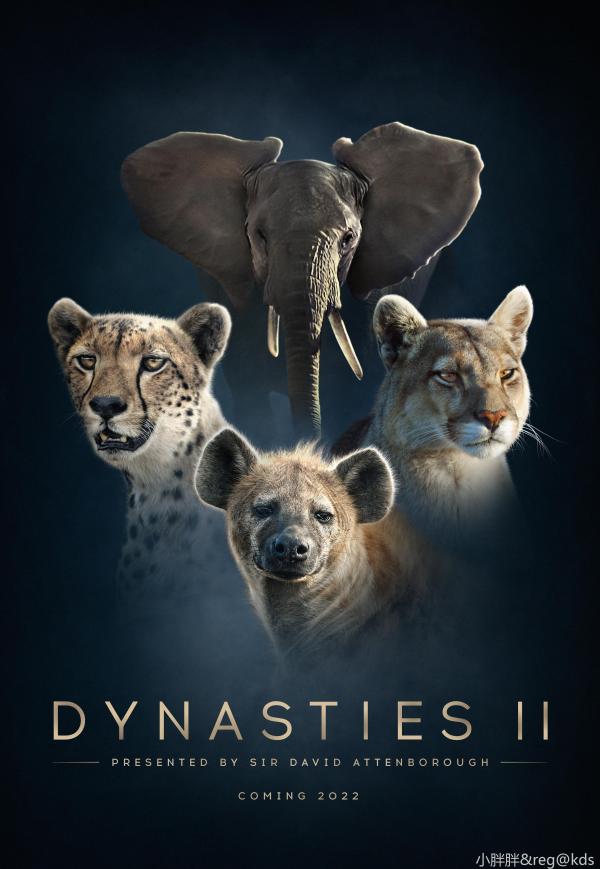 bbc的纪录片地球脉动真心好看