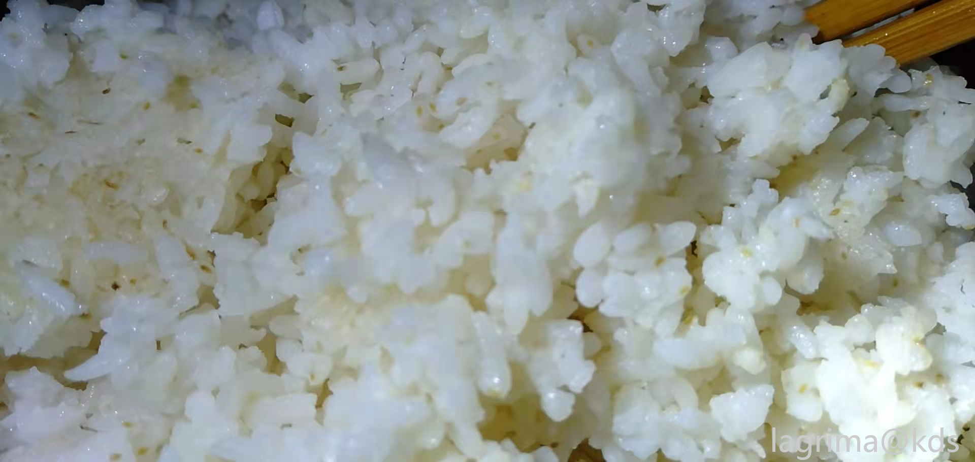 黄曲霉的米是什么样子图片