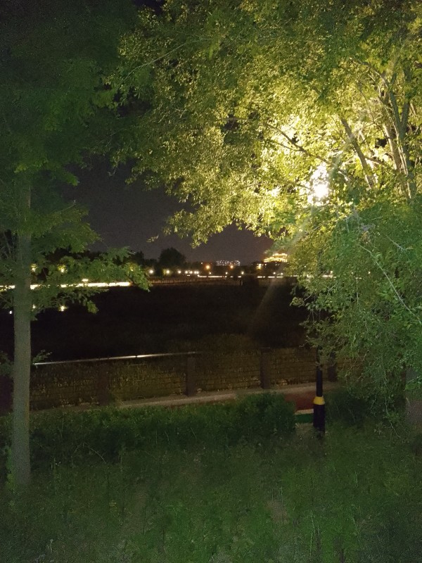 拍点夏天的夜色