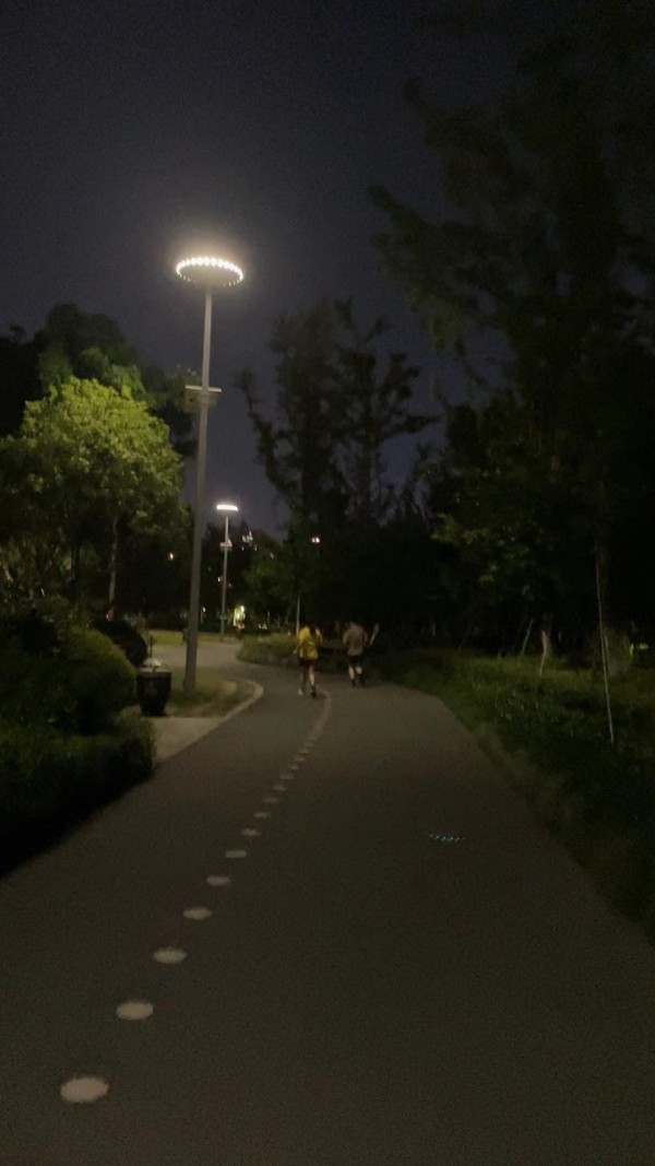 晚上跑步好像遇到了山上的灌水有空去