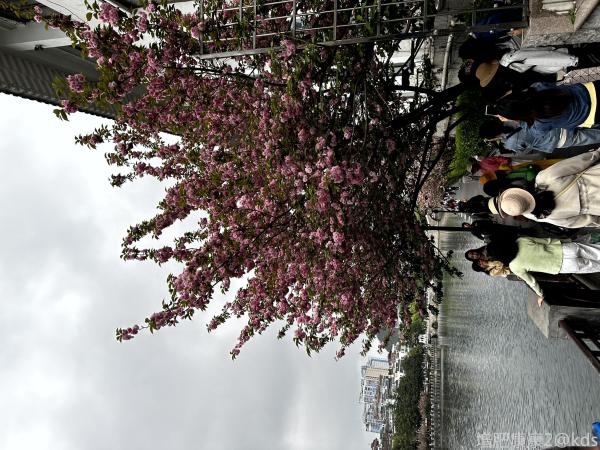 贵州之行-宽带山kds-宽带山社区-城市消费门户