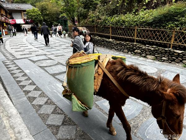 贵州之行-宽带山kds-宽带山社区-城市消费门户